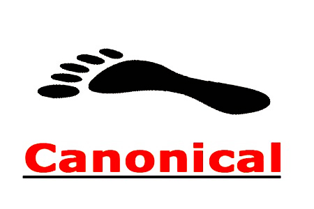 Canonical标签是什么，它在SEO的应用！